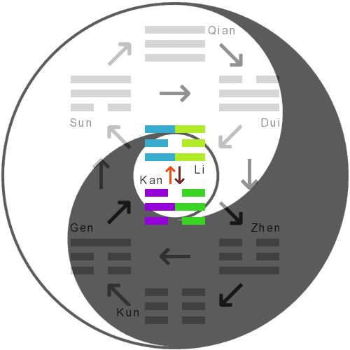 The hexagram's inner trigrams within the fields of Yin and Yang